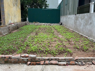 Chính chủ cần bán lô đất 80m Tại Thôn Ích Vịnh, Xã Liên Minh Xã Phương Đình Cũ 1