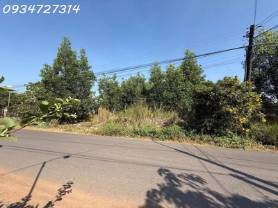 Bán đất giá siêu hời tại phước tân - giang điền, 6,5 tỷ, 2118 m2 1