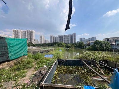 Bán gấp đất vàng 4140m2  nguyễn xiển   long thạnh mỹ - q9 chỉ 50 tỷ 0