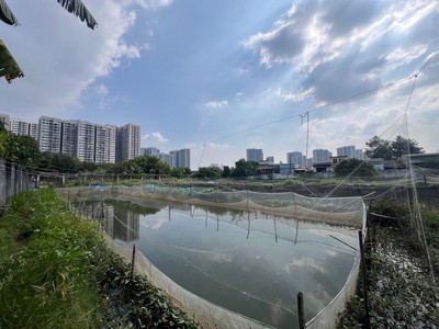 Bán gấp đất vàng 4140m2  nguyễn xiển   long thạnh mỹ - q9 chỉ 50 tỷ 1