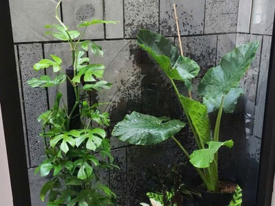 Bán nhà nát tặng gpxd hxh quang trung thông thương ngang 4m 56m2 tiện xây siêu phẩm chỉ 5.6 tỷ. 3