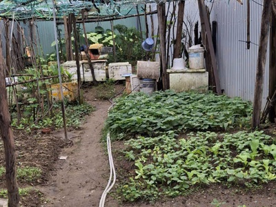 Mặt tiền hoàng hiệp   tt hòa xuân   đất vuông đẹp 100m    giá 7 tỷ tốt nhất khu vực 4