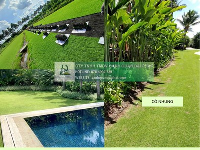 Trồng cỏ dự án Khu công nghiệp Đồng Nai - Bảo hành bảo dưỡng 1 tháng miễn phí 1