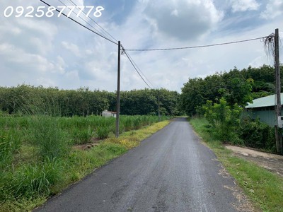 Chính chủ cần bán miếng đất mặt tiền đường nhựa xã an nhơn tây, tp. hồ chí minh 3