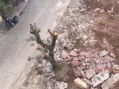 Bán đất ngõ trần quang diệu   đối diện kđt tân phú hưng   giá 1.4x tỷ 0