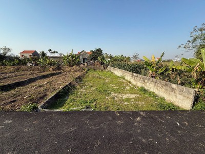 Bán đất thù du minh tân 98m ngõ nhựa 4m hiếm khu phân lô, giá chỉ 8xx triệu đón sóng hạ tầng 2