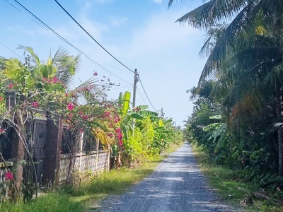 Cần bán 300m2 kho đường xe tải lê minh xuân 0