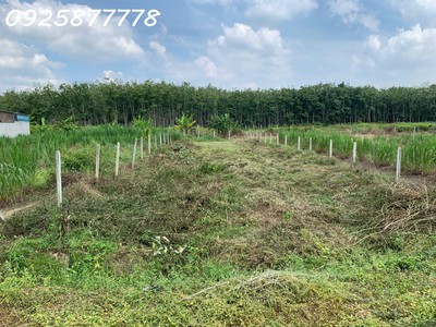 Chính chủ cần bán miếng đất mặt tiền đường nhựa xã an nhơn tây, tp. hồ chí minh 2