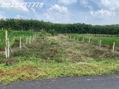 Chính chủ cần bán miếng đất mặt tiền đường nhựa xã an nhơn tây, tp. hồ chí minh 1