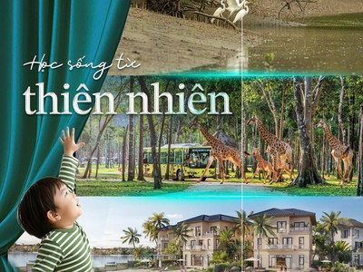  chính thức khởi công  vinhomes green paradise   cần giờ 1