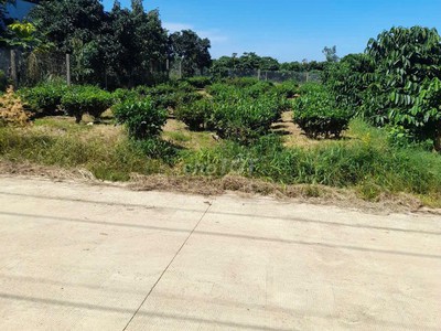 Chính chủ cần bán lô đất thổ cư tọa lạc tại thôn 2, xã hòa ninh, huyện di linh, tỉnh lâm đồng, 1