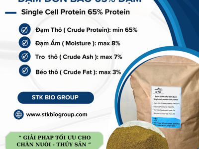 Đạm Đơn Bào 65 Đạm Nguyên Liệu Thức Ăn 0