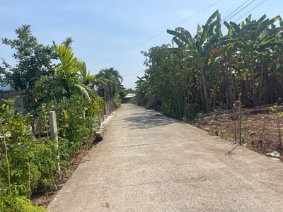 Sỉ và lẻ 11 nền f0 sát nhà thờ xuân trường xuân sơn hcm 3