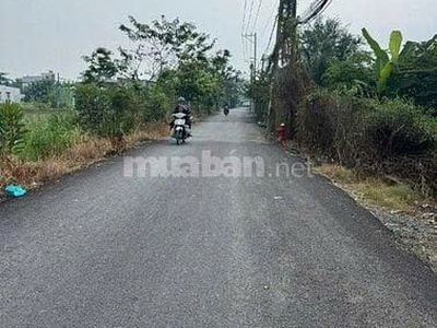 Hot hot hot - cần bán lô đất tại đường 4b, xã đa phước, huyện bình chánh, tp.hcm 2