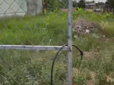 Sở hữu ngay  -lô đất  vị trí đẹp  tại đường bùi văn sự, xã qui đức, bình chánh, hồ chí minh 3