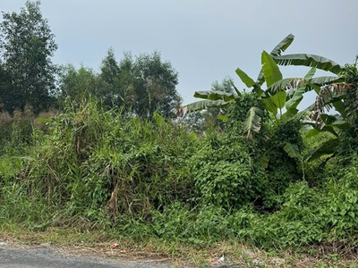 Hot hot - cần bán 2 mảnh  đất vườn 2 mặt tiền tại đường liên ấp 4-5, xã đa phước, bình chánh, tphcm 1