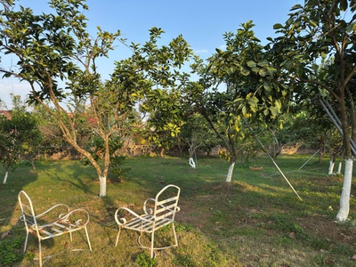 Cho thuê biệt thự sân vườn có đồ tại Dương Quan , Thủy Nguyên , Hải Phòng 3