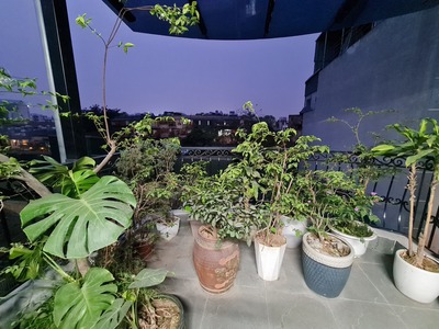 Bán nhà phố Tạ Quang Bửu, Hai Bà Trưng, 2 mặt ngõ, ô tô đỗ cửa 4 tầng 79m2 giá 24.5 tỷ 3