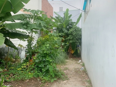 H2004  rẻ hơn shopee  đất mặt tiền tân chánh hiệp 17 q12, shr, vuông, 5x30m, 8.x tỷ 0