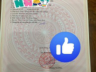 Chính chủ cần bán nhanh 2 lô đất liền kề vị trí đẹp- sinh lời cao 0