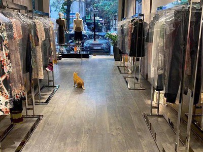 Linhhk cho thuê nhà hà trung 60m  x 3 tầng, mt 4m, có thang máy 1