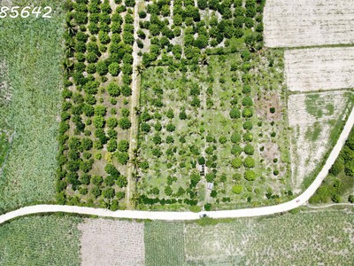 Bán đất vườn sổ hồng riêng khánh hoà 4