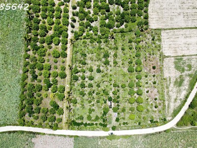 Bán đất vườn sổ hồng riêng khánh hoà 3