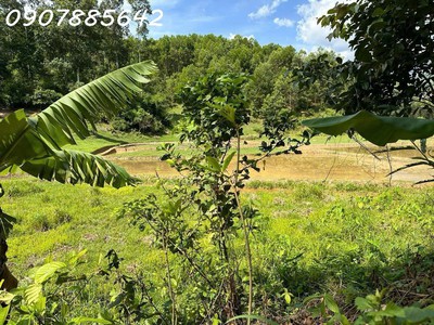 Bán đất nền giá rẻ dưới 60 triệu tại khánh hoà 1