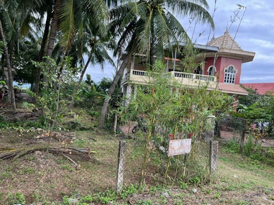 Bán đất mặt tiền quốc lộ 1a   vị trí kinh doanh đắc địa   ninh hòa 2