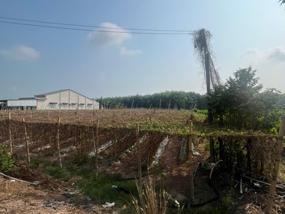 Đất  đẹp- giá tốt- cần bán nhanh đất tại xã suối đá, dương minh châu, tây ninh 2