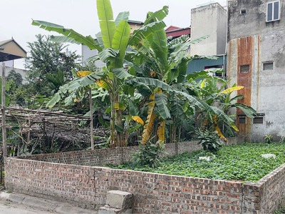 Cần bán 100m2 đất ngõ 191/2 Phúc Lợi. View công viên   tòa nhà văn phòng, đường ô tô tránh 0