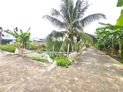 Cần bán lô đất mặt đường 5m tại Tân Vũ 2, Tràng Cát 88,5m2 giá chỉ 26.5tr/m2 0