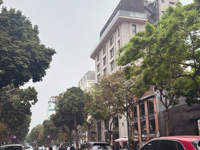 Mặt Phố Phan Chu Trinh- Hilton Lô Góc 3 Mặt Thoáng 160 Tỷ 7 Tầng Thang Máy 0