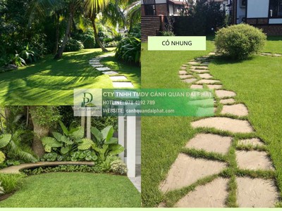 Thi công cây xanh   thảm cỏ công trình tại Đồng Nai, Bình Dương, TPHCM, Vũng Tàu,... 1