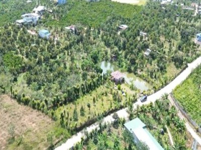 Đất nghỉ dưỡng view hồ tại Bảo Lộc, giá từ 1 tỷ 250 triệu đồng mỗi nền 0