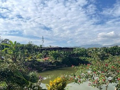 Đất nghỉ dưỡng view hồ tại Bảo Lộc, giá từ 1 tỷ 250 triệu đồng mỗi nền 7