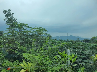 Sở hữu ngay lô đất đẹp - giá tốt - vị trí đắc địa tại thôn lâm trường, xã minh phú, huyện sóc sơn cũ 1