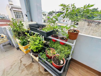 Bán nhà 3 tầng, dt 75m2, số 7, linh trung, thủ đức, tp hcm giá 7,89 tỷ, sổ hồng. liên hệ: 4