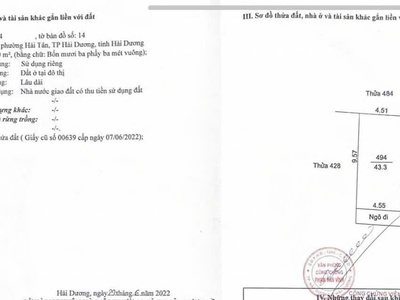 Bán đất ngõ lý anh tông lô góc 2 mặt thoáng nhìn kđt ecopark giá 1.2x tỷ 3