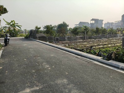 Đất ruộng vân nội 264m2, mt10m, lúa nước, 950tr, ngay đấu giá, đông anh. 2