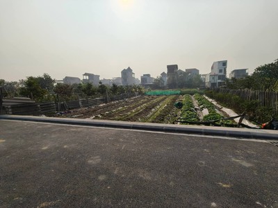 Đất ruộng vân nội 264m2, mt10m, lúa nước, 950tr, ngay đấu giá, đông anh. 0