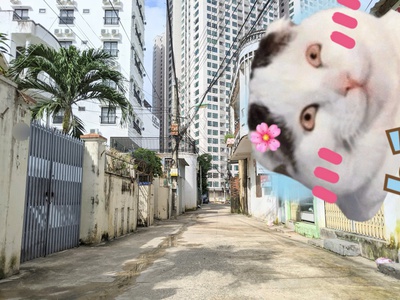 Cần bán nhà mặt tiền tôn thất tùng -bắc nha trang dt: 162m2 giá bán: 24tỷ 0