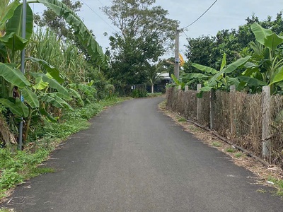 Cách đường đình hầu 50m chỉ 2,2 tỷ  2dv  diện tích : 10 36 100 tc 1