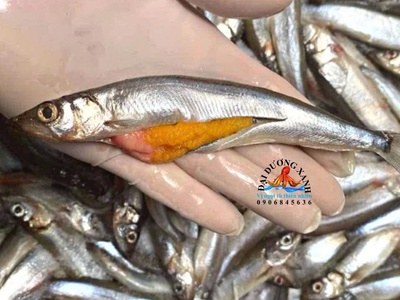 Cá Trứng Nauy Có Phù Hợp Cho Trẻ Em Và Người Lớn Tuổi 0