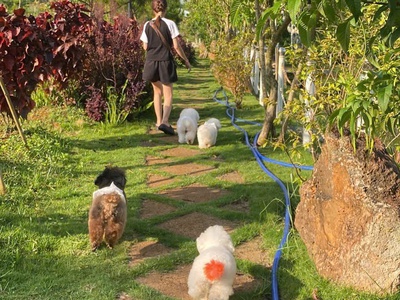 Đất nền nghỉ dưỡng view hồ tảo hồng duy nhất tại lâm đồng giá chỉ 990tr 5