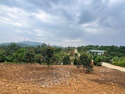 Đất nghỉ dưỡng view hồ tại Bảo Lộc, mức giá từ 1,25 tỷ đồng mỗi nền 5