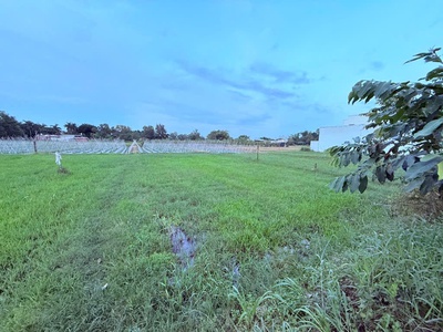 Giá rẻ quá 500m2 đường container chạy vi vu gần ql 22 củ chi ngang 16.5m tiện xây bt vườn nhỉnh 5 0