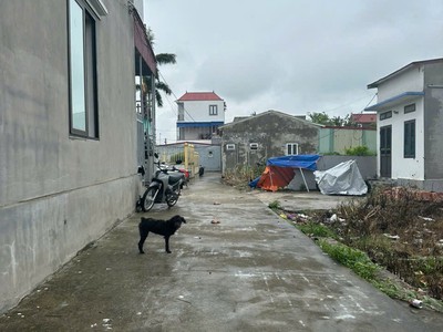 Đất minh tân kiến minh 85m giá hiếm dưới 1 tỷ, khu dân cư đông, phù hợp đầu tư giữ tiền zalo 1