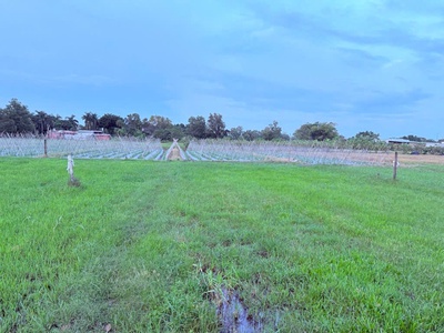 Giá rẻ quá 500m2 đường container chạy vi vu gần ql 22 củ chi ngang 16.5m tiện xây bt vườn nhỉnh 5 1