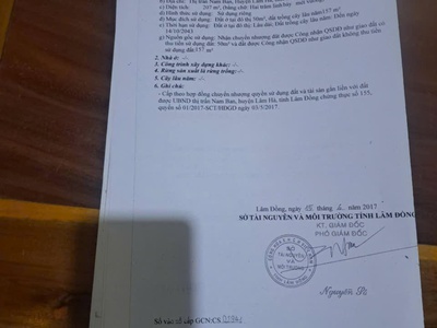 Sở hữu ngay lô đất đẹp - giá tốt - vị trí đắc địa tại tt nam ban, huyện lâm hà, lâm đồng 3